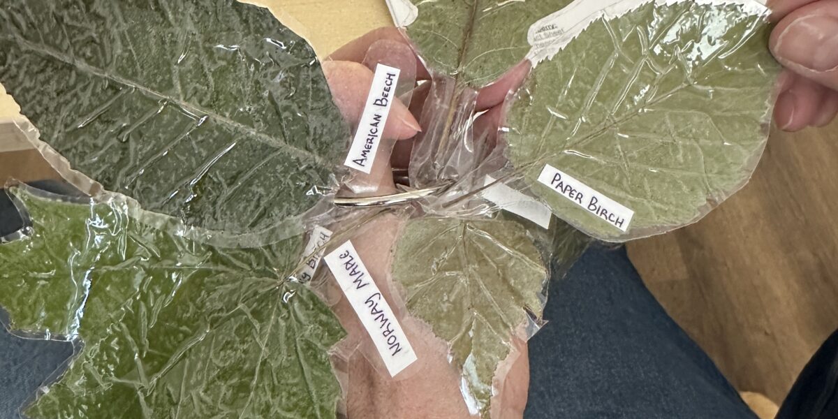 30 Ways to Bring Environmental Education into Your Classroom