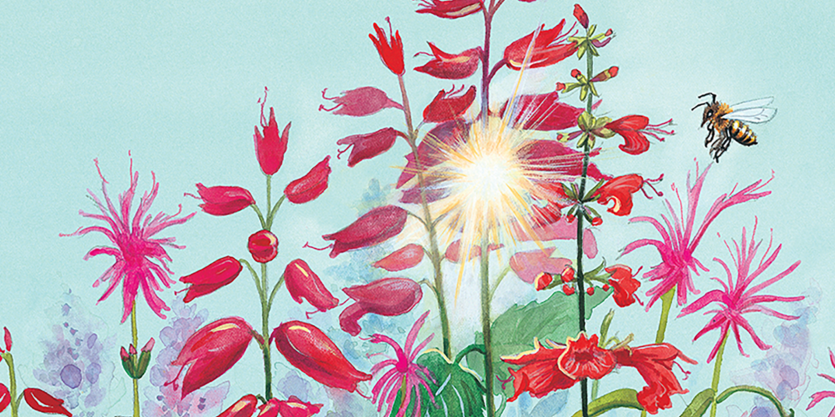Nature Journaling with Rebekah Lowell